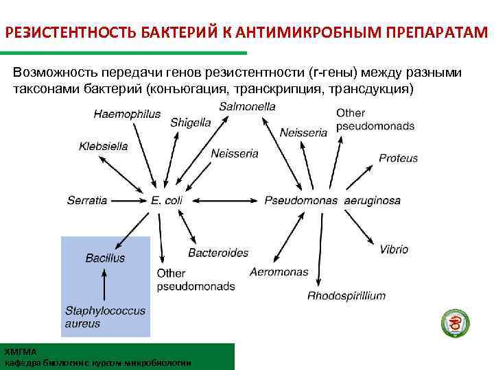 РЕЗИСТЕНТНОСТЬ БАКТЕРИЙ К АНТИМИКРОБНЫМ ПРЕПАРАТАМ Возможность передачи генов резистентности (r-гены) между разными таксонами бактерий