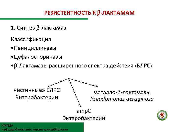 РЕЗИСТЕНТНОСТЬ К -ЛАКТАМАМ 1. Синтез -лактамаз Классификация • Пенициллиназы • Цефалоспориназы • -Лактамазы расширенного