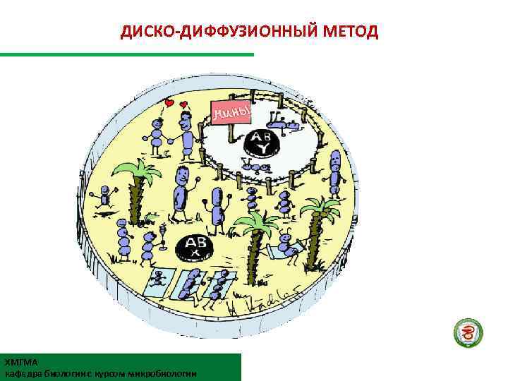 ДИСКО-ДИФФУЗИОННЫЙ МЕТОД ХМГМА кафедра биологии с курсом микробиологии 