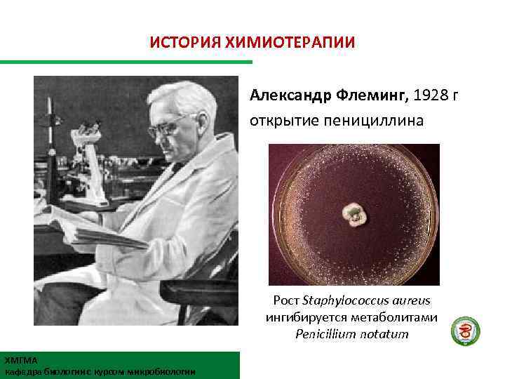 ИСТОРИЯ ХИМИОТЕРАПИИ Александр Флеминг, 1928 г открытие пенициллина Рост Staphylococcus aureus ингибируется метаболитами Penicillium