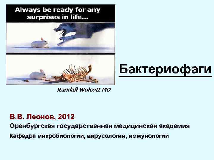 Бактериофаги Randall Wolcott MD В. В. Леонов, 2012 Оренбургская государственная медицинская академия Кафедра микробиологии,