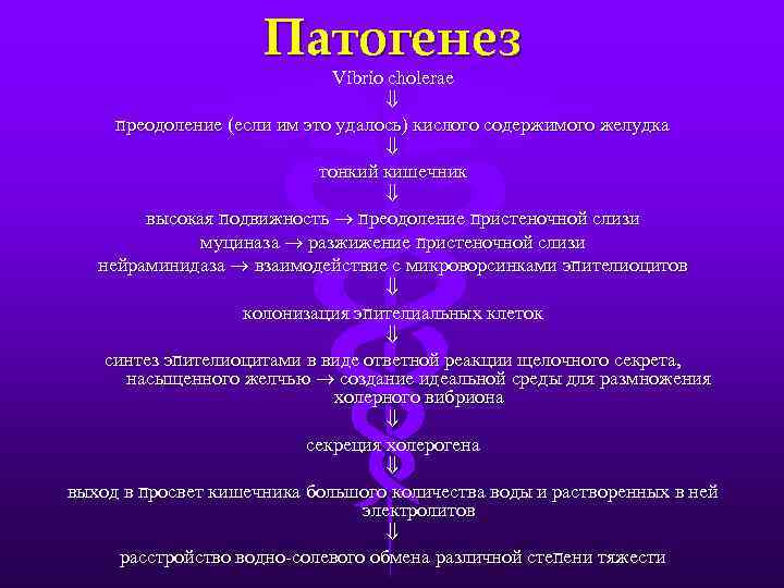 Патогенез Vibrio cholerae преодоление (если им это удалось) кислого содержимого желудка тонкий кишечник высокая