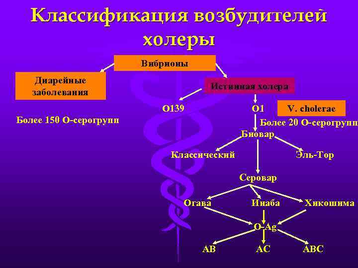 Классификация возбудителей холеры Вибрионы Диарейные заболевания Истинная холера О 139 О 1 V. cholerae