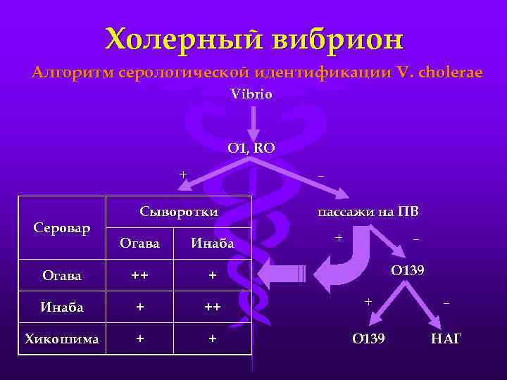 Холерный вибрион Алгоритм серологической идентификации V. cholerae Vibrio O 1, RO + Cеровар –