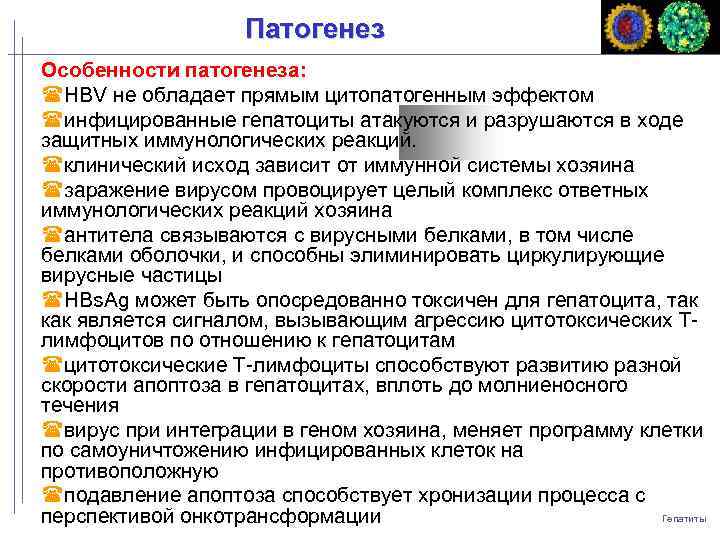 Патогенез Особенности патогенеза: HBV не обладает прямым цитопатогенным эффектом инфицированные гепатоциты атакуются и разрушаются