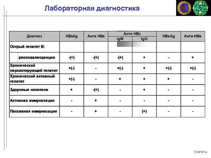 Лабораторная диагностика Гепатиты 