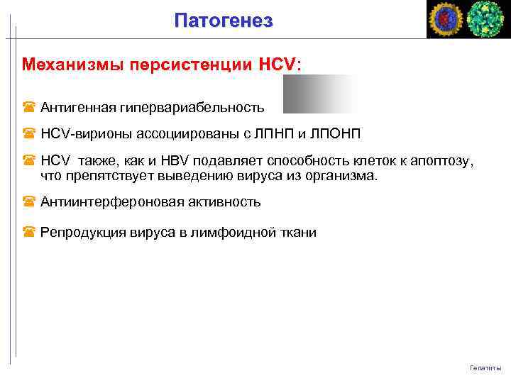 Патогенез Механизмы персистенции HCV: Антигенная гипервариабельность HCV-вирионы ассоциированы с ЛПНП и ЛПОНП НСV также,