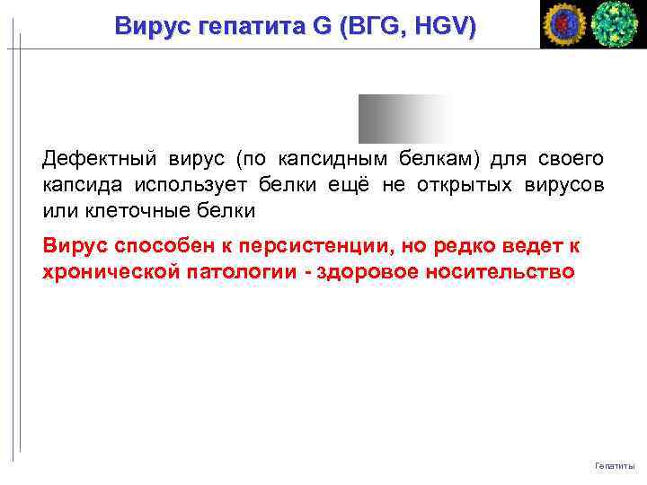 Вирус гепатита G (ВГG, HGV) Дефектный вирус (по капсидным белкам) для своего капсида использует