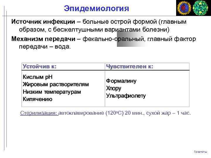 Эпидемиология Источник инфекции – больные острой формой (главным образом, с бесжелтушными вариантами болезни) Механизм