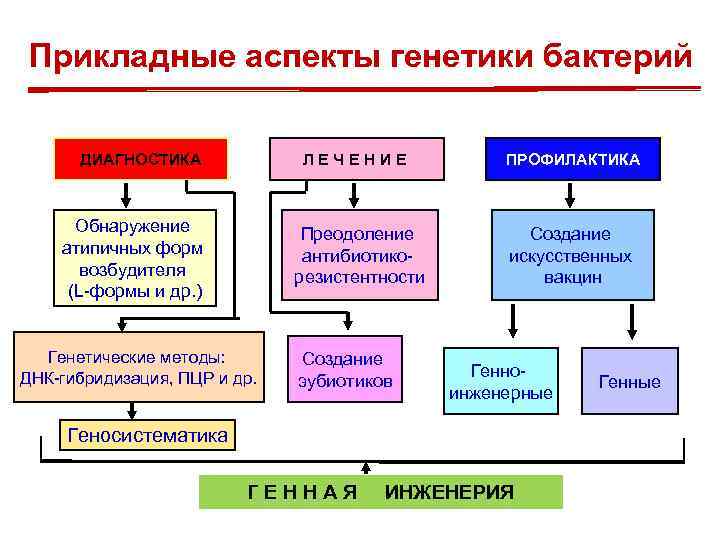 Прикладные аспекты генетики бактерий ДИАГНОСТИКА ЛЕЧЕНИЕ Обнаружение атипичных форм возбудителя (L-формы и др. )