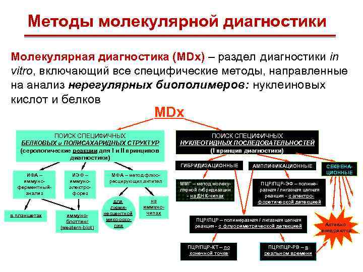 Методы молекулярной диагностики Молекулярная диагностика (MDx) – раздел диагностики in vitro, включающий все специфические