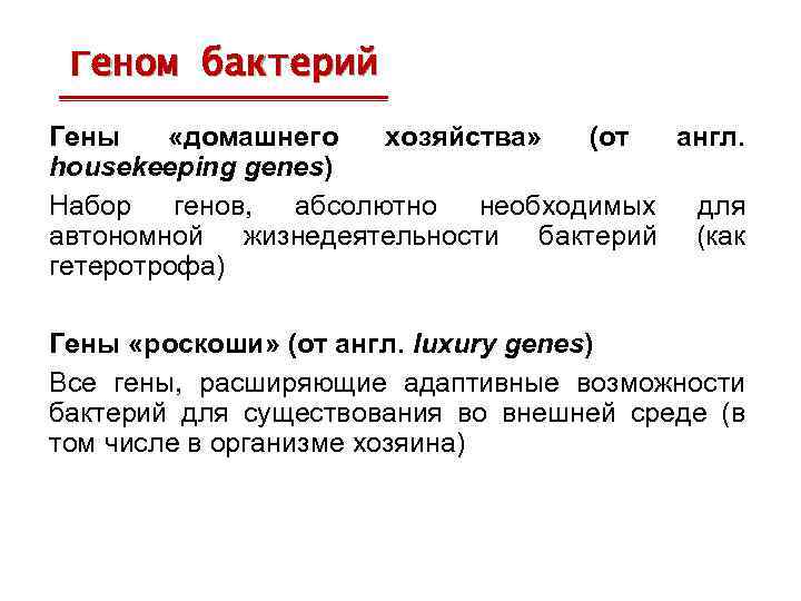 Геном бактерий Гены «домашнего хозяйства» (от англ. housekeeping genes) Набор генов, абсолютно необходимых для