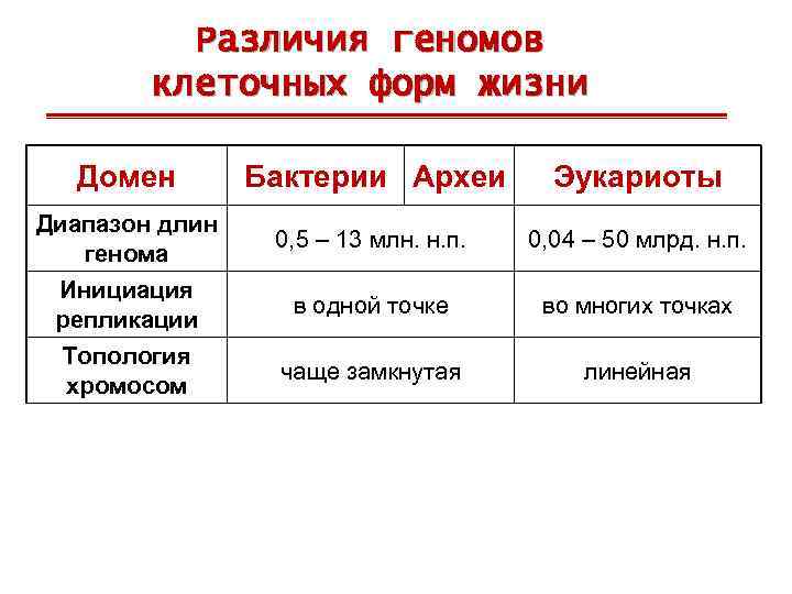 Различия геномов клеточных форм жизни Домен Бактерии Археи Эукариоты Диапазон длин генома 0, 5