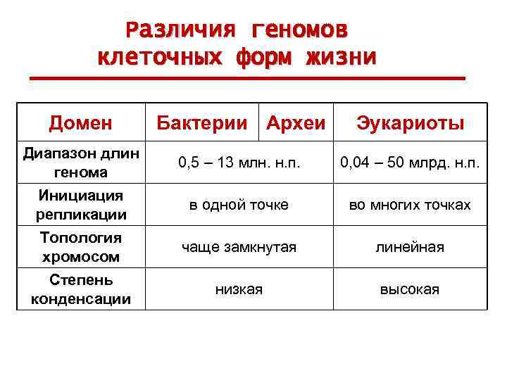 Различия геномов клеточных форм жизни Домен Бактерии Археи Эукариоты Диапазон длин генома 0, 5