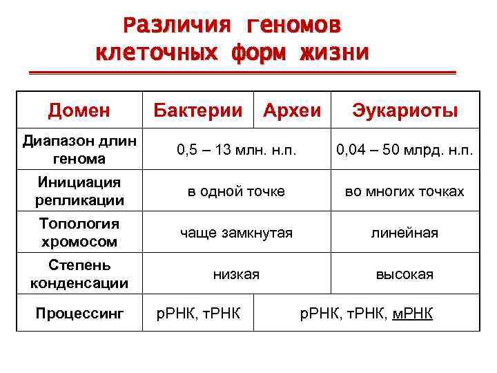 Различия геномов клеточных форм жизни Домен Бактерии Археи Эукариоты Диапазон длин генома 0, 5