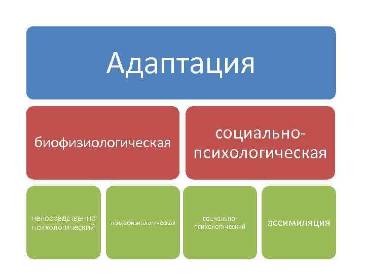 Адаптация биофизиологическая непосредственно психологический психофизиологическая социальнопсихологический ассимиляция 