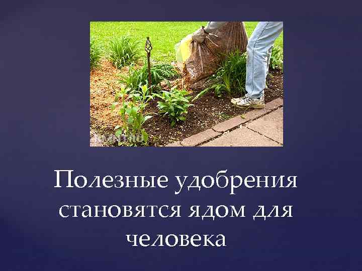 Полезные удобрения становятся ядом для человека 