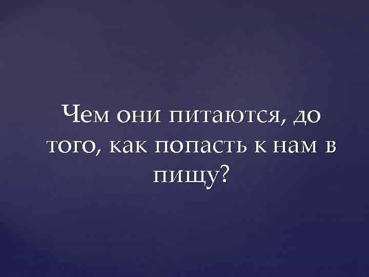 Чем они питаются, до того, как попасть к нам в пищу? 