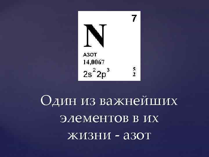 Один из важнейших элементов в их жизни - азот 