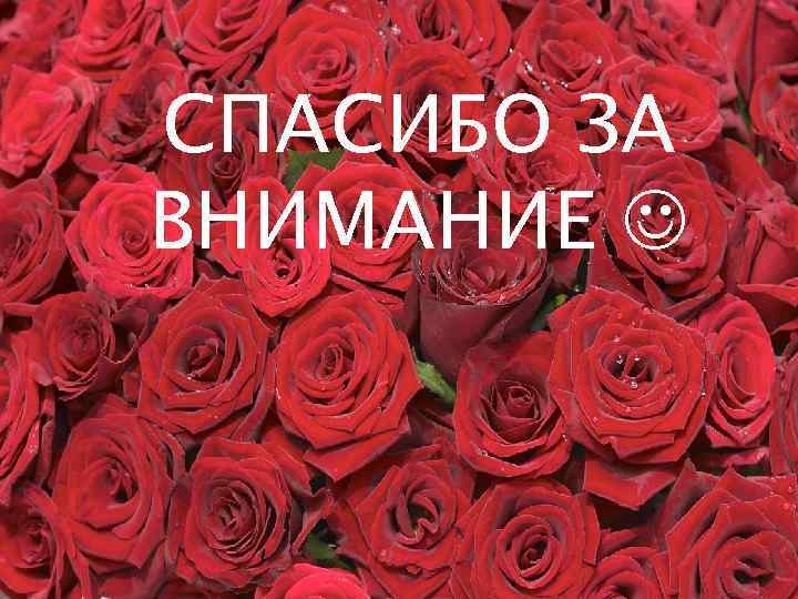 СПАСИБО ЗА ВНИМАНИЕ 