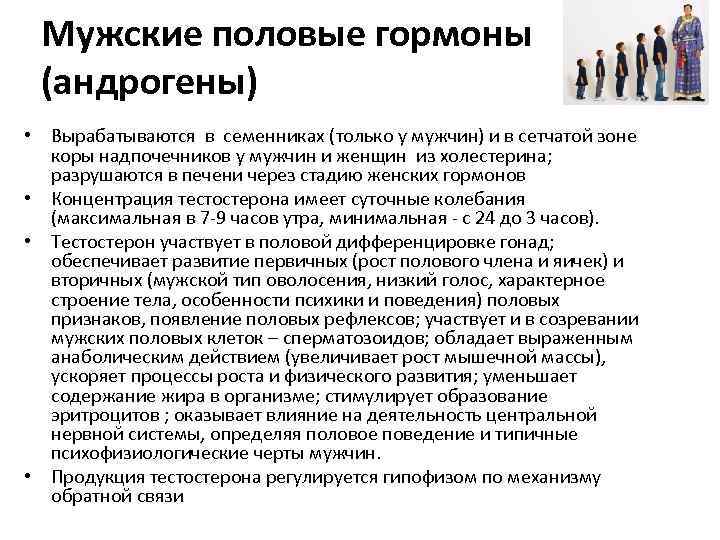 К андрогенам относятся. Мужские половые гормоны андрогены. Мужские половые гормоны вырабатываются в:. Мужские половые гормоны (андрогены) вырабатываются в:. Мужские половые гормоны у женщин вырабатываются.