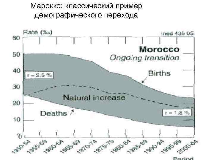 Марокко: классический пример демографического перехода 11 