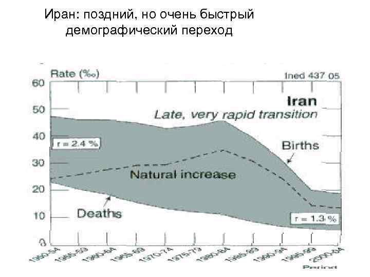 Иран: поздний, но очень быстрый демографический переход 12 