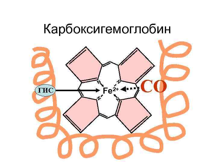 Схема связывания газов гемоглобином карбокси и метгемоглобин