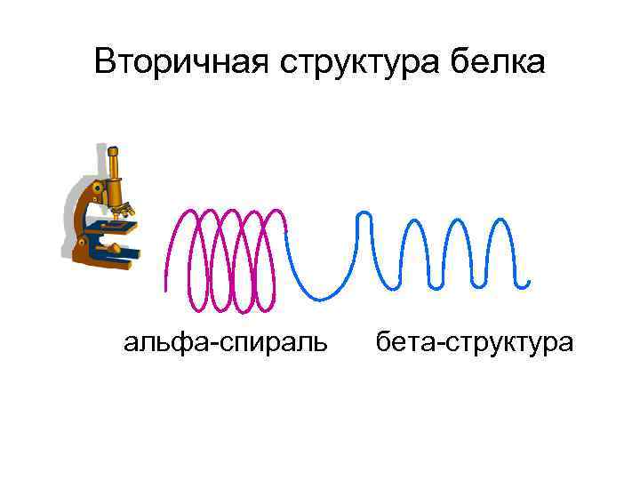 Спираль белков. Альфа и бета структура белка. Альфа спираль и бета структура белка. Бета спираль вторичной структуры белка. Вторичная структура белка Альфа спираль и бета структура.