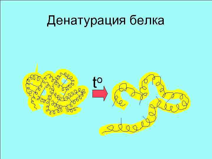 Схема денатурации белка