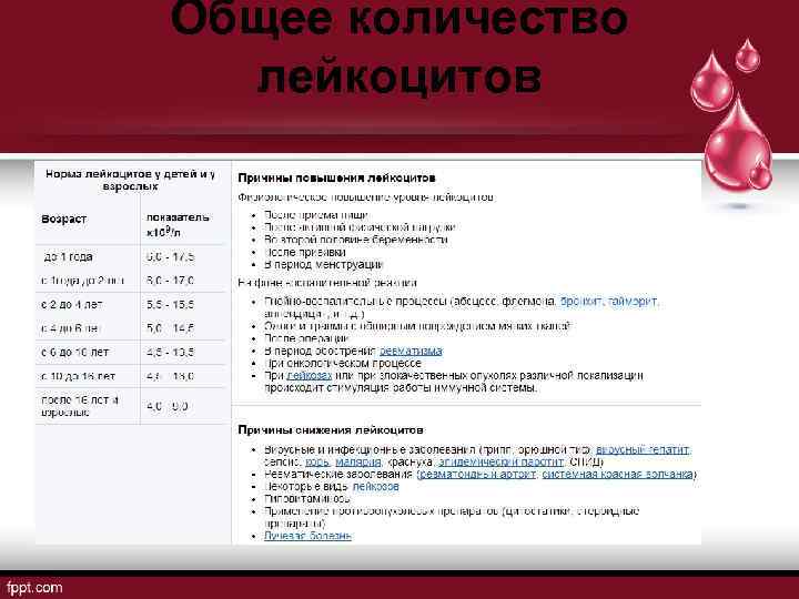 Общее количество лейкоцитов 