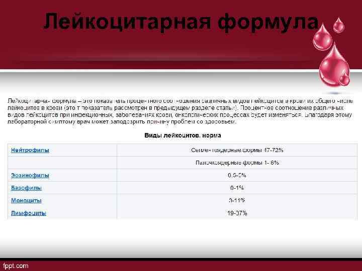 Лейкоцитарная формула 