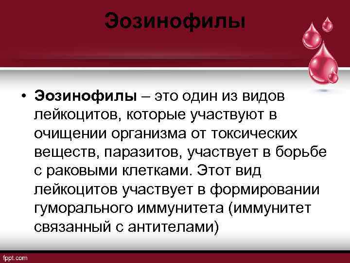 Эозинофилы • Эозинофилы – это один из видов лейкоцитов, которые участвуют в очищении организма