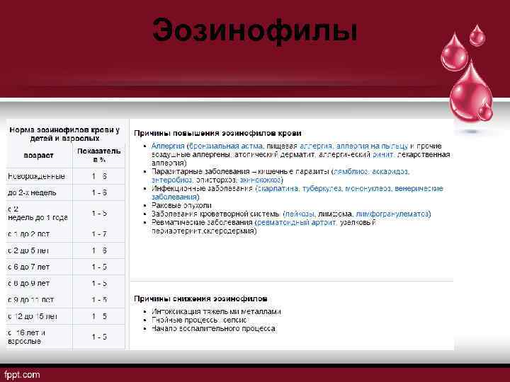 Эозинофилы 