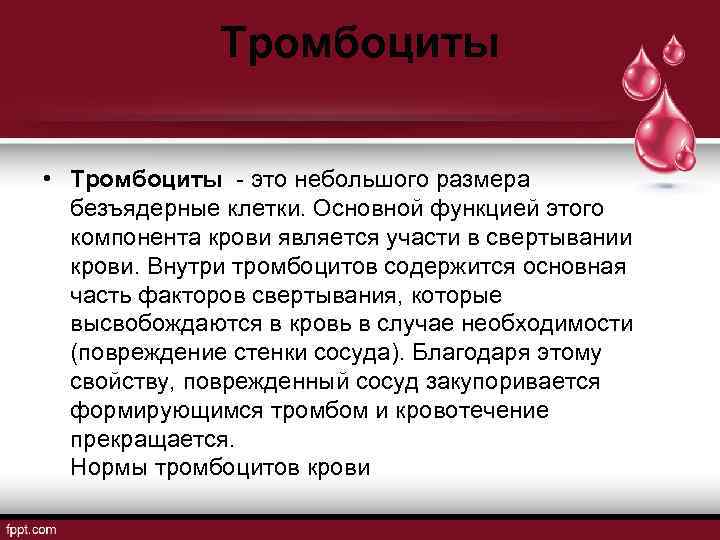 Тромбоциты • Тромбоциты - это небольшого размера безъядерные клетки. Основной функцией этого компонента крови