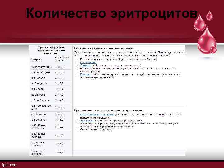 Количество эритроцитов 