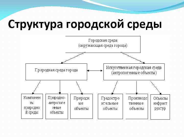 Структура городской среды 