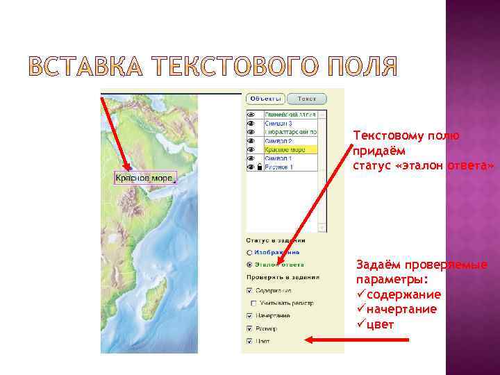 Текстовому полю придаём статус «эталон ответа» Задаём проверяемые параметры: üсодержание üначертание üцвет 