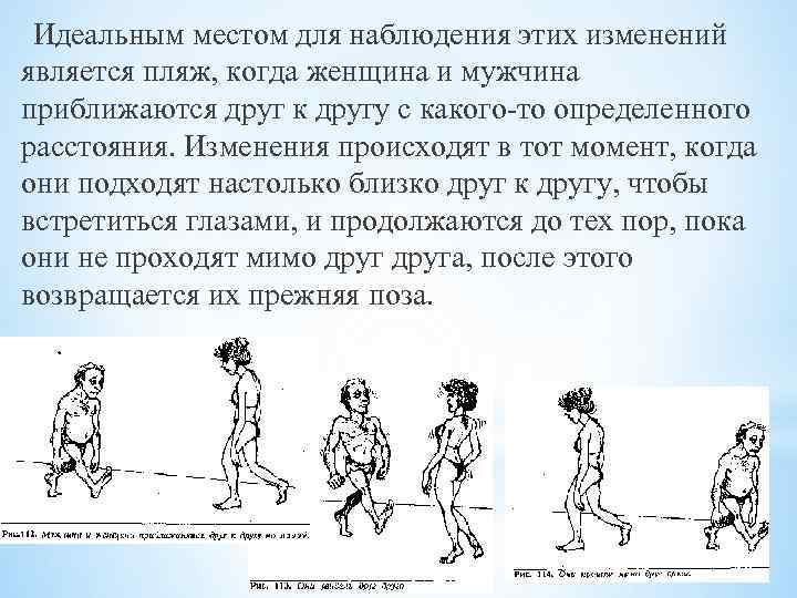 Идеальным местом для наблюдения этих изменений является пляж, когда женщина и мужчина приближаются друг