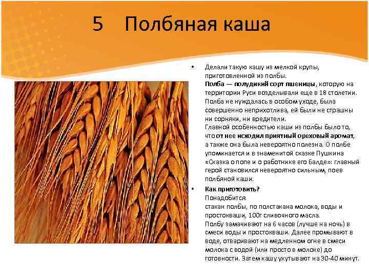5 Полбяная каша • • Делали такую кашу из мелкой крупы, приготовленной из полбы.