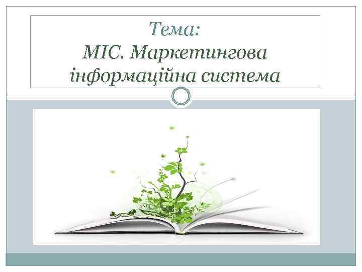 Тема: МІС. Маркетингова інформаційна система 