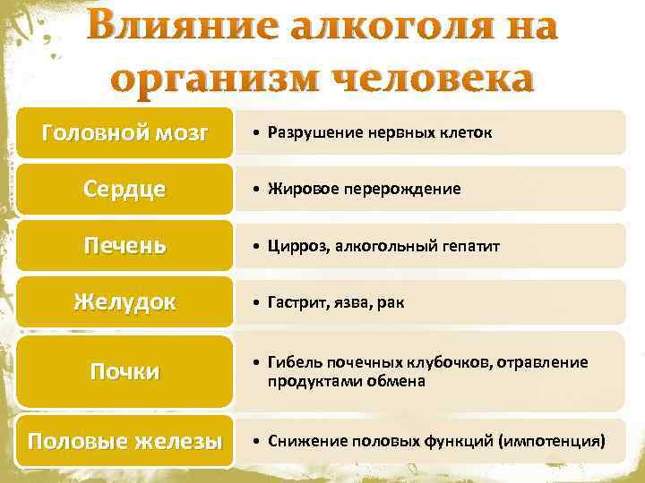 Влияние алкоголя на организм человека Головной мозг • Разрушение нервных клеток Сердце • Жировое