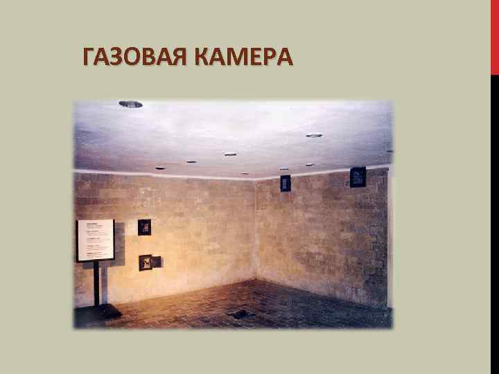 ГАЗОВАЯ КАМЕРА 