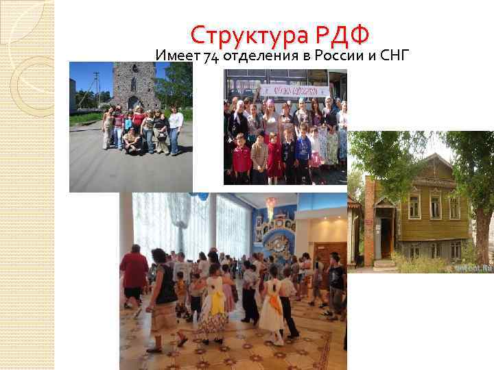 Структура РДФ Имеет 74 отделения в России и СНГ 