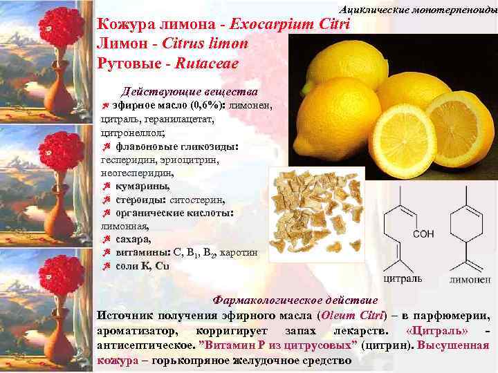 Ациклические монотерпеноиды Кожура лимона - Exocarpium Citri Лимон - Citrus limon Рутовые - Rutaceae