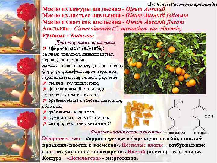 Ациклические монотерпеноиды Масло из кожуры апельсина - Oleum Aurantii Масло из листьев апельсина -