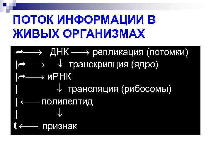 ПОТОК ИНФОРМАЦИИ В ЖИВЫХ ОРГАНИЗМАХ ДНК репликация (потомки) | транскрипция (ядро) | и. РНК