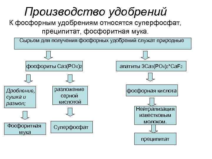 Производство удобрений К фосфорным удобрениям относятся суперфосфат, преципитат, фосфоритная мука. Сырьем для получения фосфорных