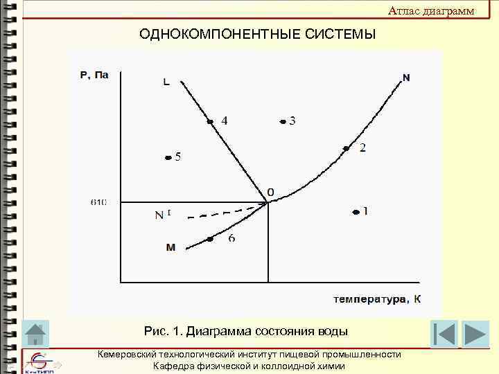 Какое уравнение описывает линии равновесия на диаграммах состояния однокомпонентных систем