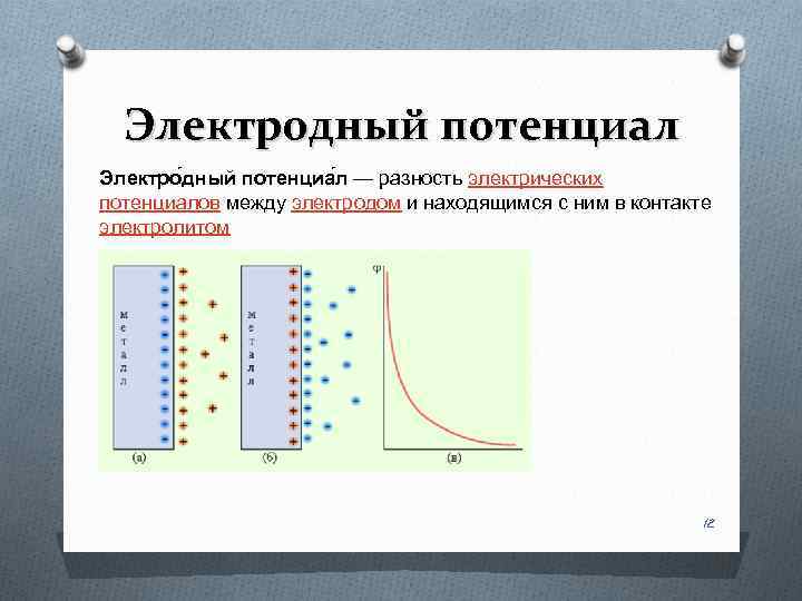 Электродный потенциал